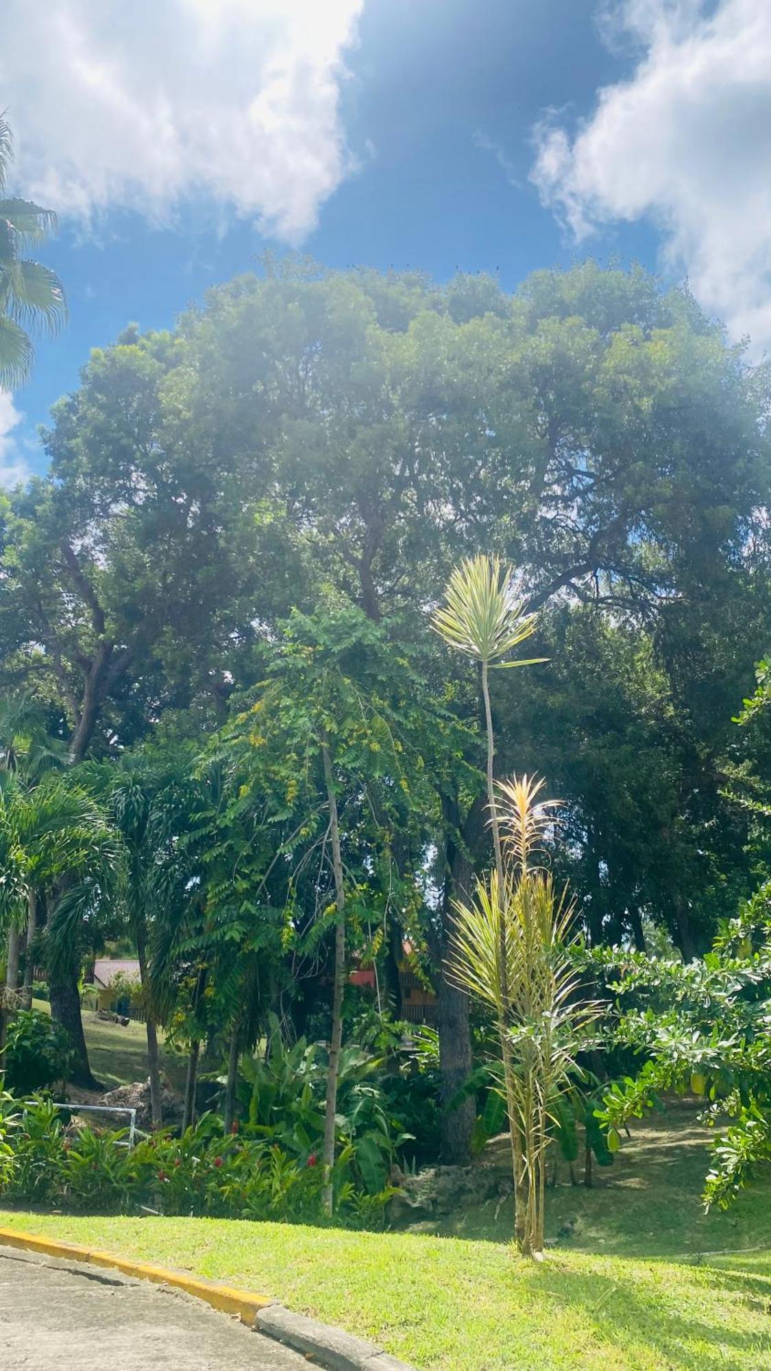 Secret Garden Villa Sainte-Anne Exterior foto