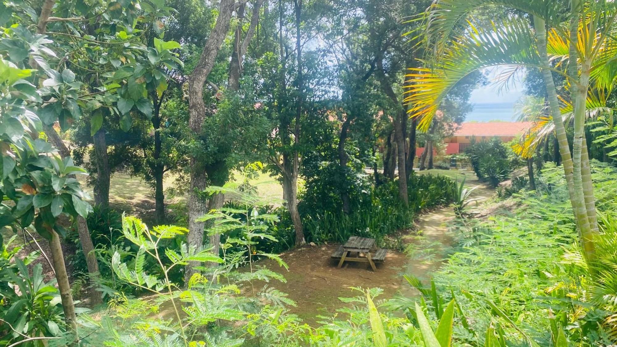 Secret Garden Villa Sainte-Anne Exterior foto